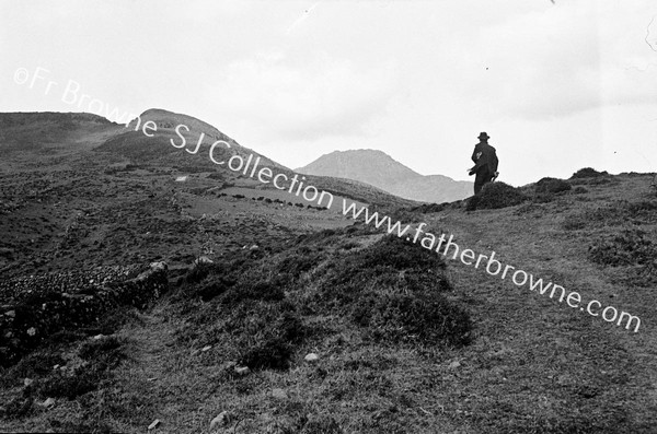 THE SUMMIT FROM THE GAP